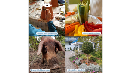 Gewinner der Nachhaltigkeits-Challenge-Woche 2025