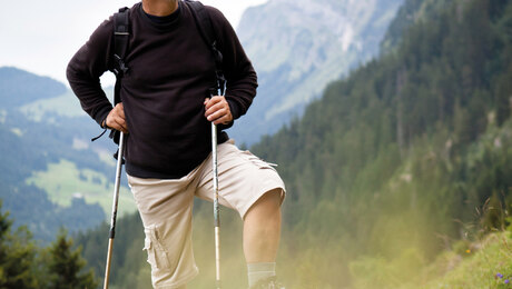 Therapiekompass Endoprothetik